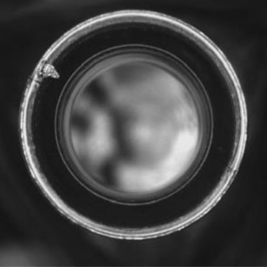 Inspección por visión de botellas