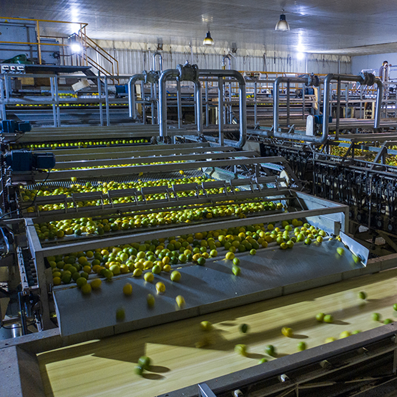 La Moraleja SA: Soluciones de pesaje para la industria del limón    