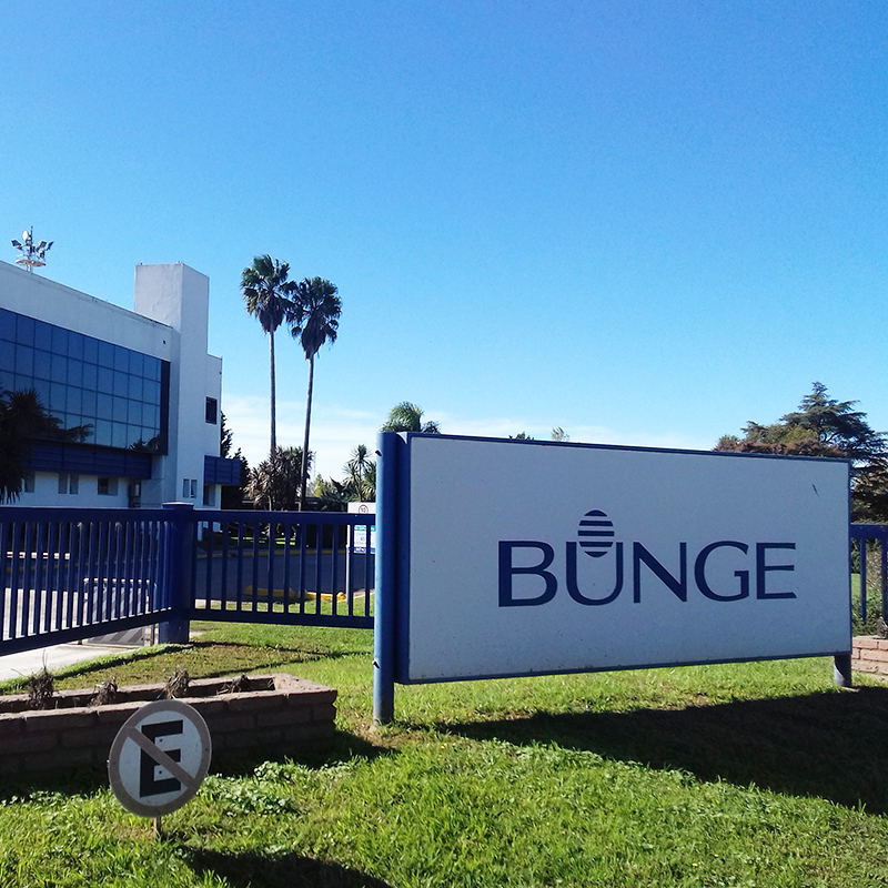 Bunge: Los desafíos de ser líderes y cómo convertir las debilidades en ventajas 