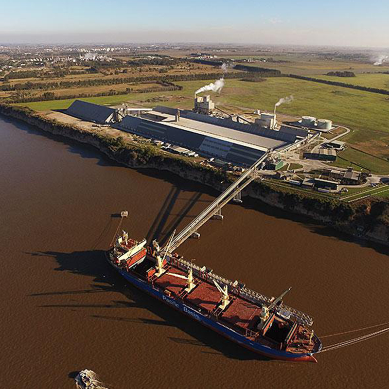 Terminal de Fertilizantes Argentinos SA 