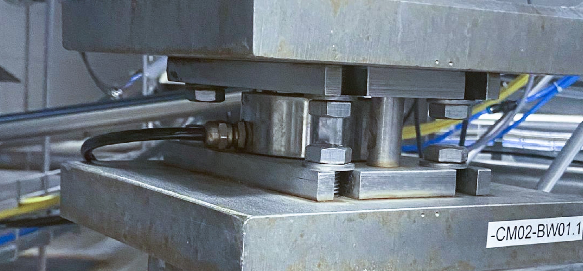 RINGMOUNT | PARA APLICACIONES EN PROCESOS SANITARIOS 