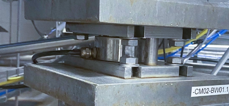 RINGMOUNT | PARA APLICACIONES EN PROCESOS SANITARIOS 